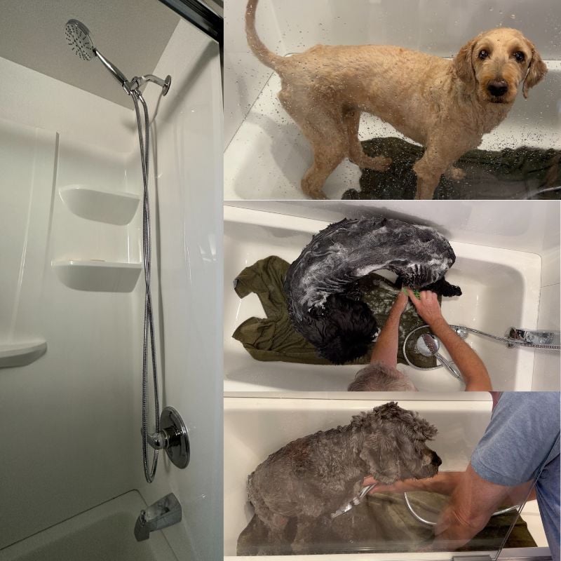 Tips for Bathing a Dog at Home Preventive Vet